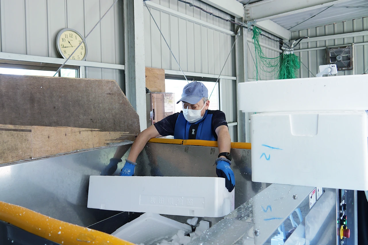 廃棄物収集・運搬